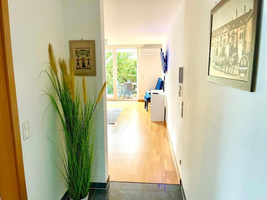 Schoene Wohnung Mit Eigenen Eingang Und Terrasse Gosseling Bagian luar foto